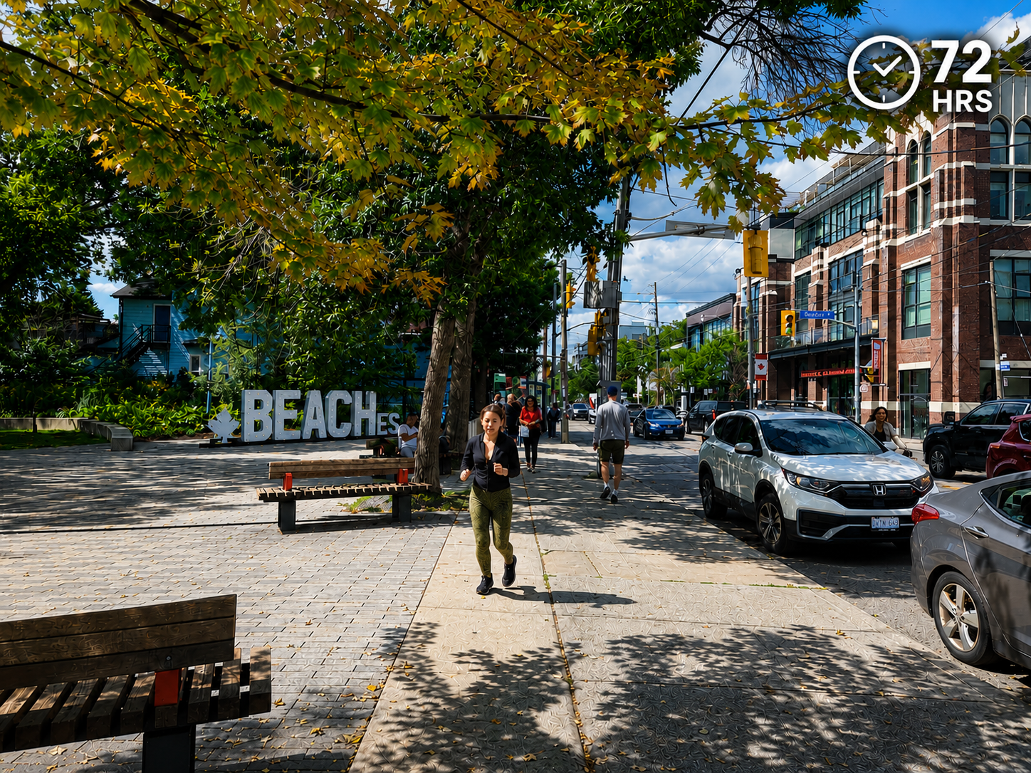 Local Beaches streetscape in Ward 19